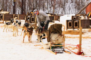 Norwegen Huskie Schlittenfahrt ©HorstReitz