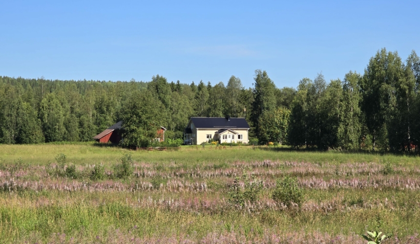 Pause in Finnland 2024 ©hreitz