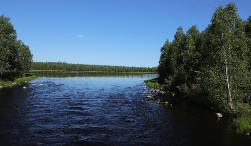 Bei Rovaniemi Finnland 2024 ©hreitz