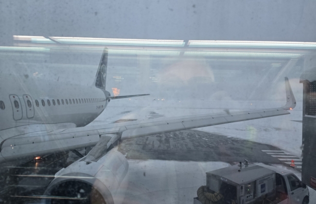 Polarlichter Reise Jan 2026